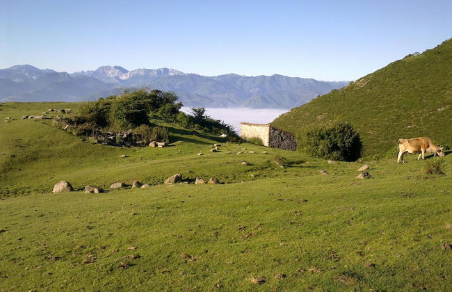 Casa Rural El Sumiciu - Foto 31