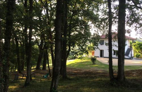 côté chêne - Foto 1