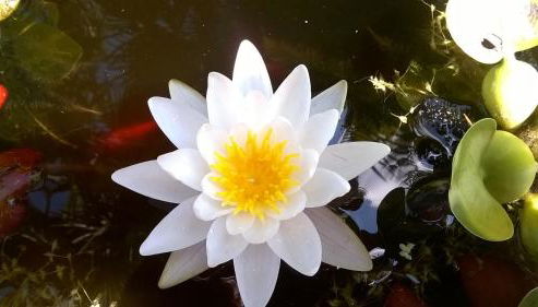 Agriturismo Villa Serena - Foto 3