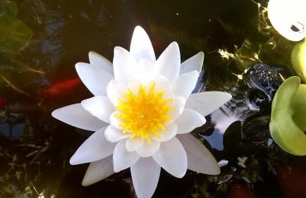 Agriturismo Villa Serena - Photo 3