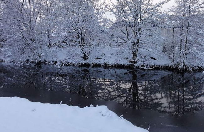 Cottage in Jedburgh Near Historic Abbey - Foto 8