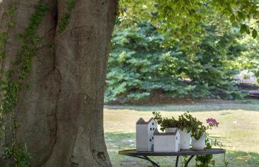 Bnbook Maison Charlotte Cottage Bosco - Foto 29