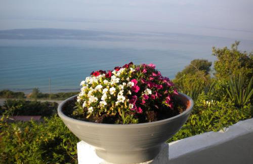 Villa Olga studios - Foto 18