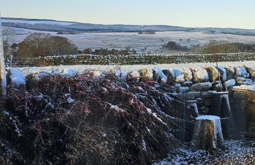 Petty Knowes Cottage - Foto 43