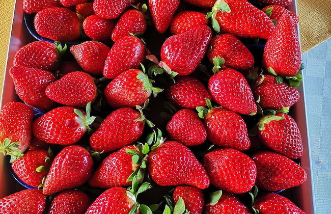 La Fattoria dei Nonni Resort dell'Etna - Foto 38