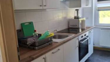 Schöne Vollausgestattete Monteurs- Gästewohnung nähe Raffinerie Leuna und Geiseltalsee für 4 Personen 0303 - Foto 4