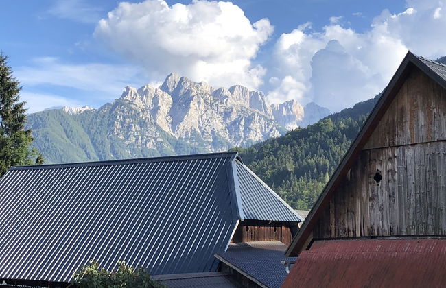 Jacobs Resort House Planica - Foto 45