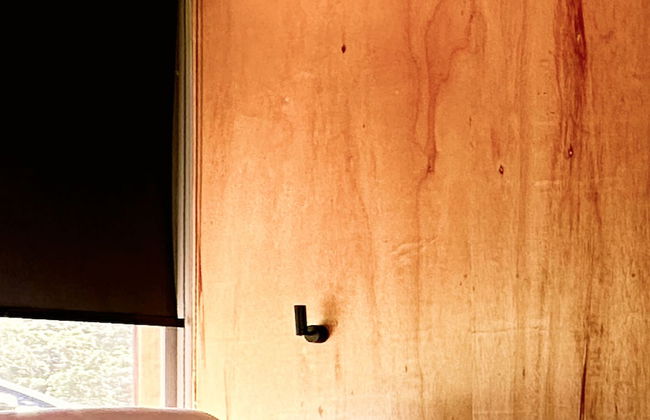 Clareira Cabanas - Photo 10