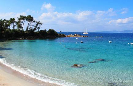 Residence ACQUA LINDA Porticcio - Foto 31