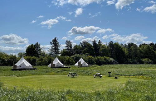 Walltree House Glamping - Glamping experience - Photo 4