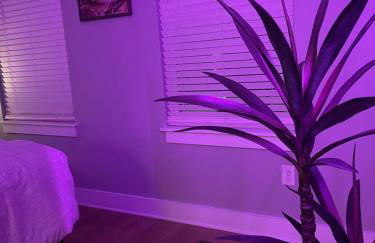 Classy, Cozy, Close to downtown - Foto 24