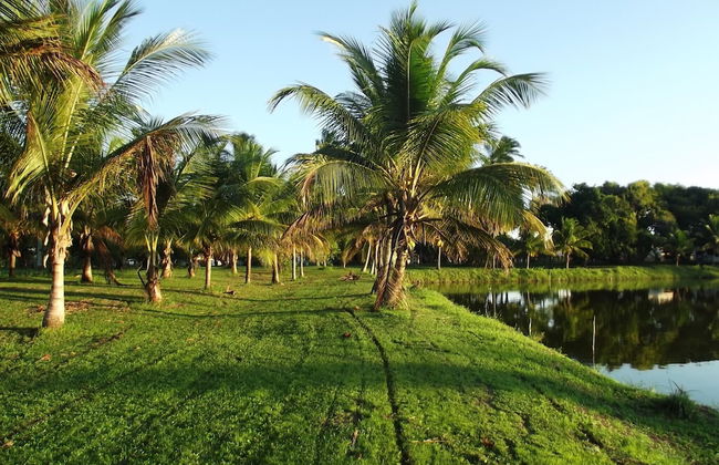 Hotel Fazenda Recanto - Foto 44