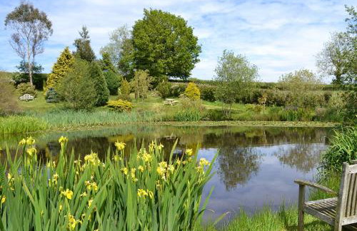 The Oak Stall - Uk11023 - Foto 22