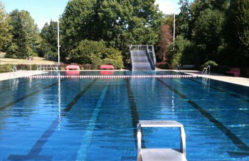 Apartment mit Wintergarten und Terrasse in ruhiger Lage im schönen Taunus - Foto 38