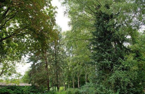 Kinderfreundliche Wohnung am See - Foto 22