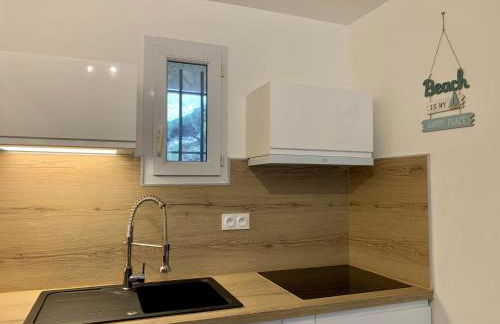 LA BADINE Accés direct à la plage clim balnéo piscine - Foto 9