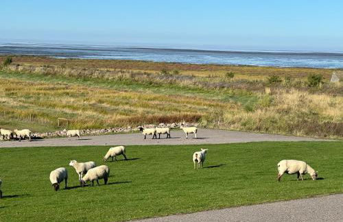 Lenis Deichblick - Foto 21