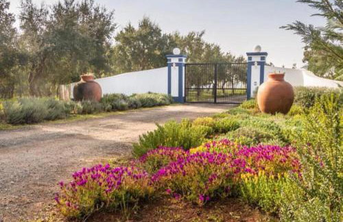 Herdade Terra rica - Photo 25