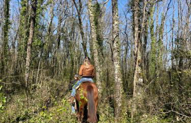 Relax, mare, natura e cavalli Giuliano di Roma - Foto 4