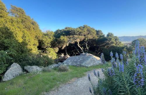 Serene Retreat in the Heart of SLO home - Foto 59
