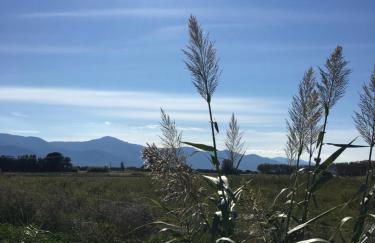 Cosy Lagune - Photo 56