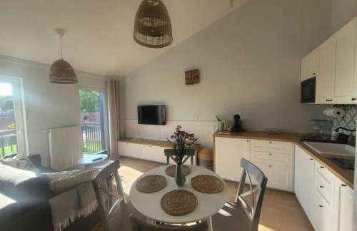 APARTAMENT W TRZĘSACZU - Foto 1