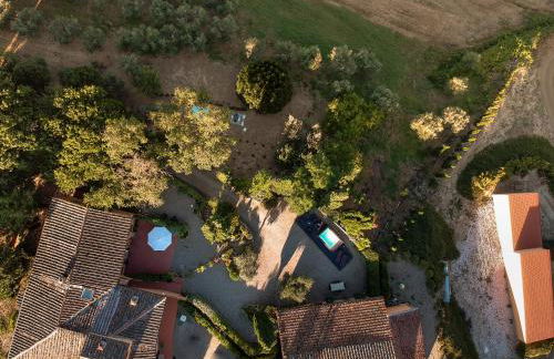Il Leccio - Casa Toscana San Gimignano - Foto 50