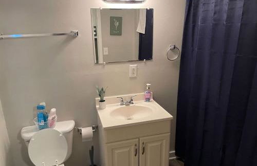 Mins to USC Hospital Zoo Columbia Duet-Unit B - Foto 57