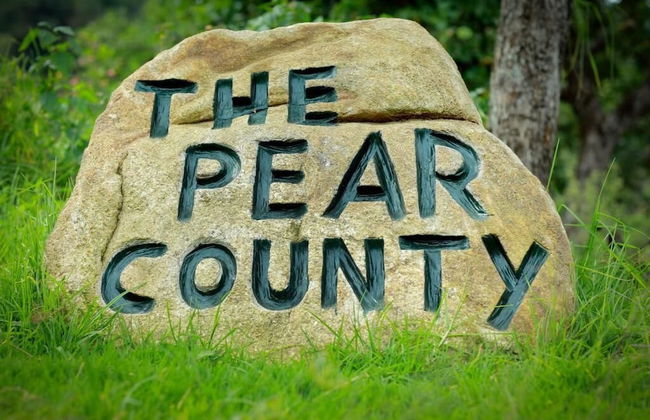 The Pear County - Foto 40