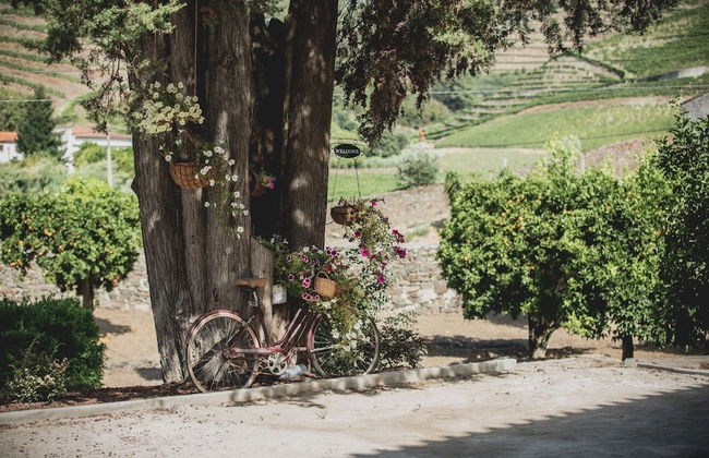Casal dos Capelinhos - Quinta Nova - Foto 52