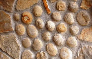 Agriturismo Finestre di Langa - Foto 11