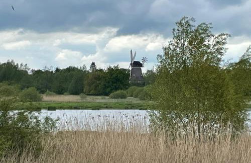 Uhlenhoff Boyken - Foto 5