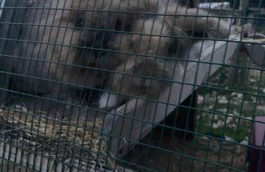 Ruby's Retreat! Farm Stay! North devon! Sleeps 6! Beaches Exmoor! - Foto 48