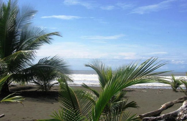 2 Comfortable New Villas Near Pacific, Private Pool With Waterfall! - Photo 36