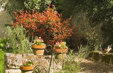 Abbaye Cottage - Maison entière - jardin - jacuzzi - Photo 11
