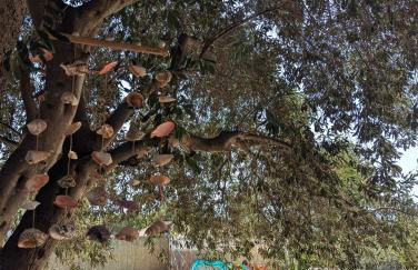 Casa Martí - Foto 4