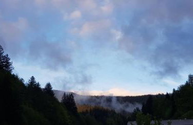 Ferienwohnung am Kapellenberg - am Rande des Nationalparks Schwarzwald - Foto 16