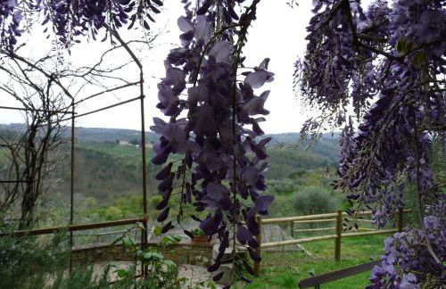 Il Casalone - Foto 48