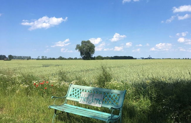 Studio House on Hof Jumne - Foto 28