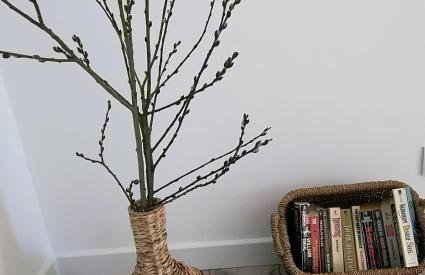 Ptasi Zakątek - Foto 20