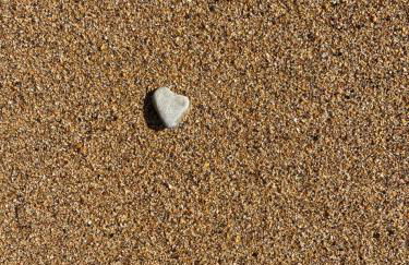 Cosy cottage in Bridport centre - Photo 72