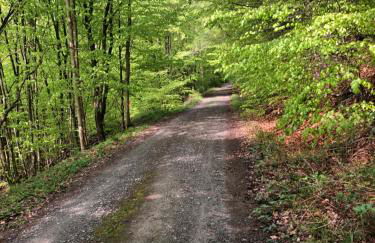 Ferienwohnung am Eggegebirge - Foto 25