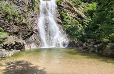 Le tre colombe - Foto 17