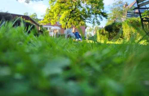 Westküste Ferienwohnung - Foto 23