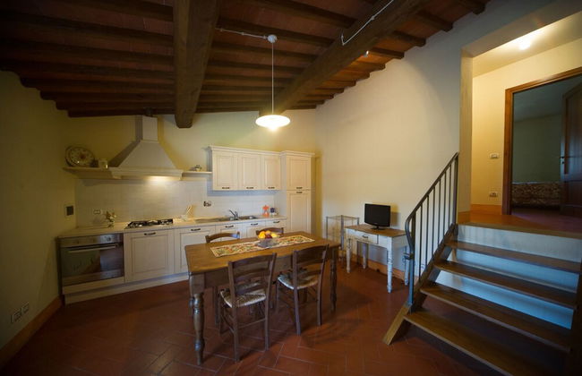 azienda agricola lo zolfino - Foto 35