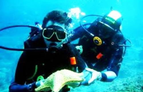 Caribe Brasileiro a 2 passos da areia - Photo 34