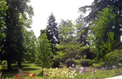 Appartements détente & nature - Domaine de La Thiau - Photo 81
