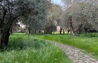 Muristene Pozzo Santa Cristina - Foto 23