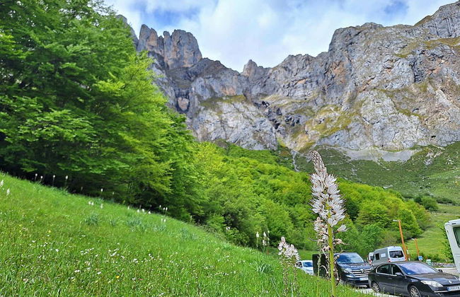 Excursión a los Picos de Europa y Potes - Foto 11