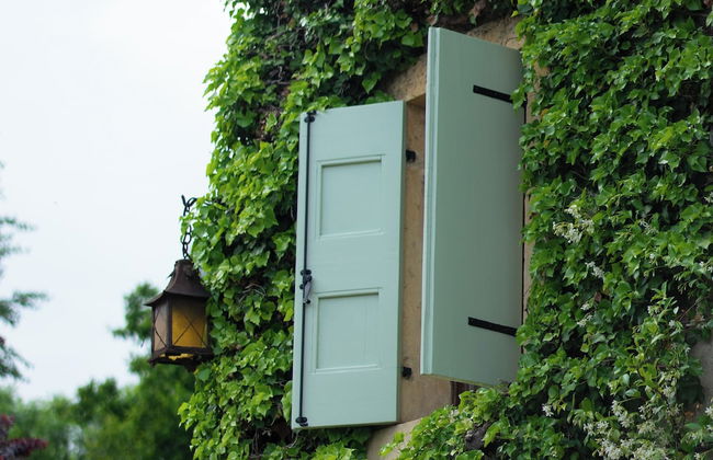 La Magioca - Photo 61